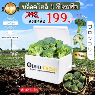 🛒Oishi-Fresh🥬บล็อคโคลี่ ปลอดสารพิษ 1 กก. รสชาติกรอบ สด ใหม่ ใยอาหารสูง หวานออร์แกนิค ผัก เคลมได้ 1-2 วัน
