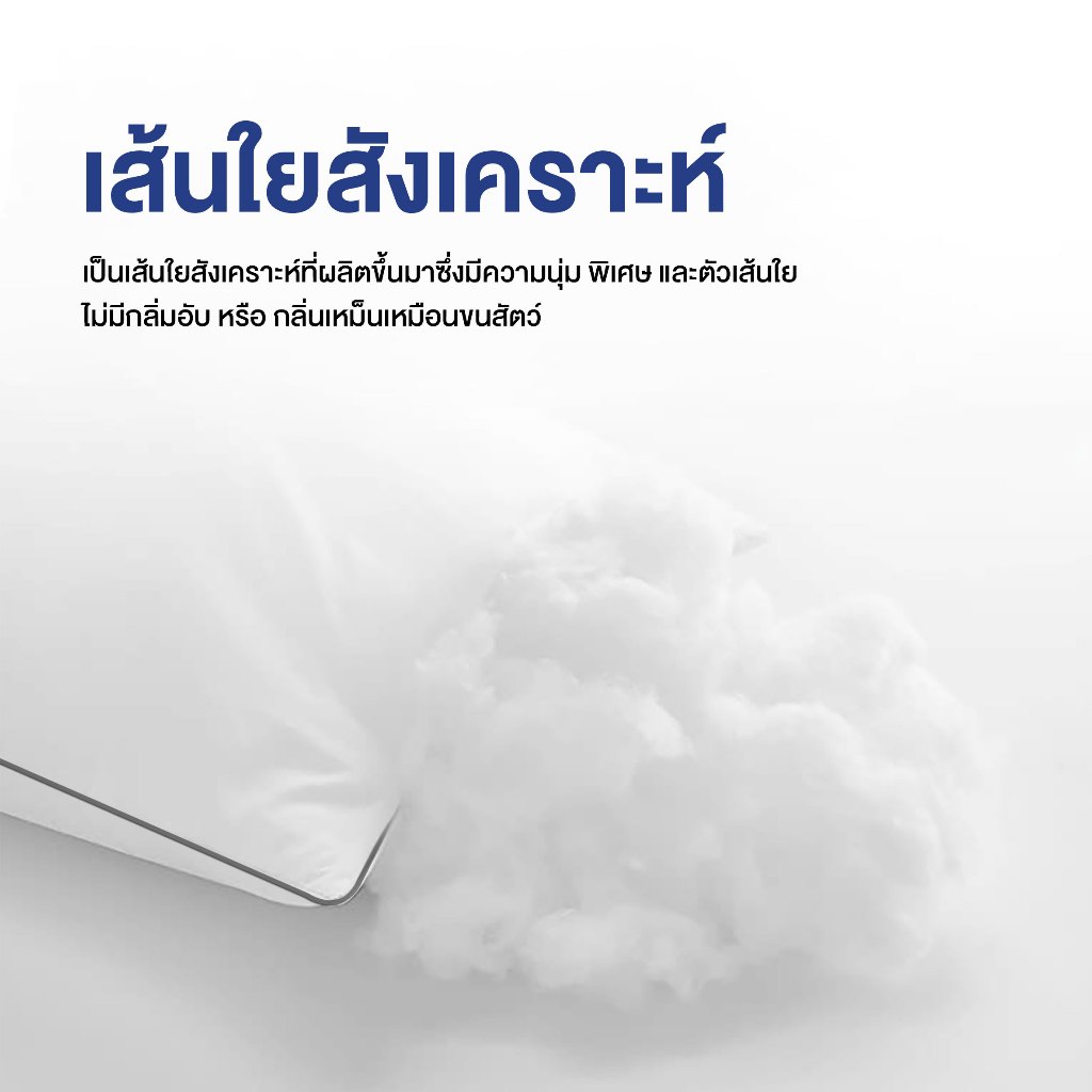 หมอนหนุน COLUMBUS รุ่น SATIN บรรจุใยสังเคราะห์ 100% ขนาด 19x29 นิ้ว นน.1000 กรัม ผ้า Micro Satin กันไรฝุ่น 100% - รูปที่ 2