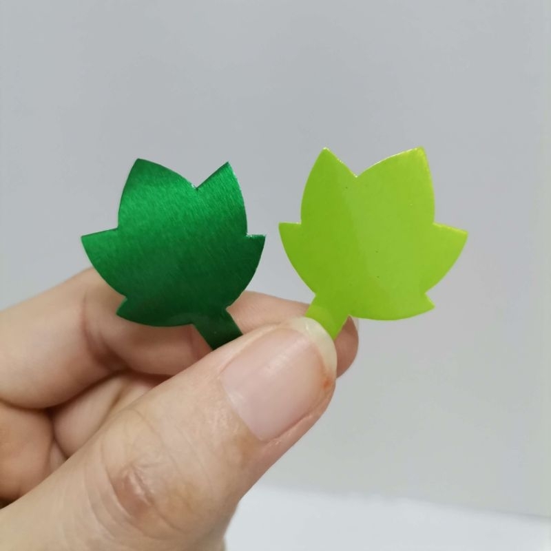 ใบฟักทอง เหรียญ​โปรย​ทาน​