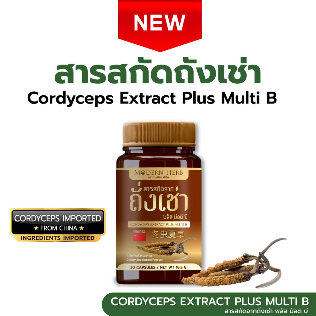 Cordyceps Extract Plus Multi B ถั่งเช่า พลัส มัลติ บี