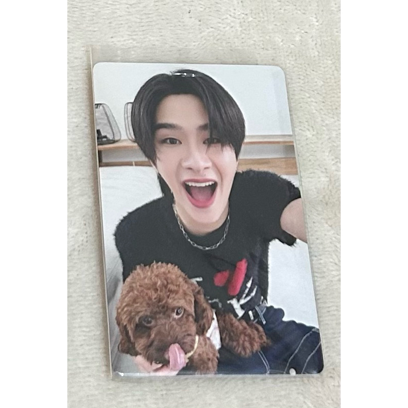[พร้อมส่ง] การ์ด BUS 1st Anniversary Photocard