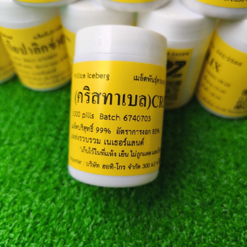 เมล็ดพันธุ์ผักสลัด ชนิดเคลือบ ENZA ZADEN แบ่งบรรจุ 100 เมล็ด - รูปที่ 3