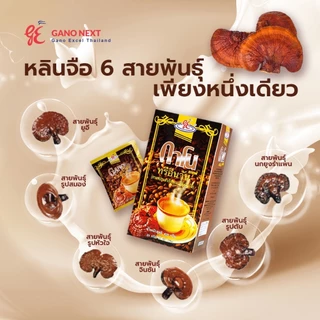 กาแฟกาโน3in1ผสมเห็ดหลินจือกาโนเอ็กเซล