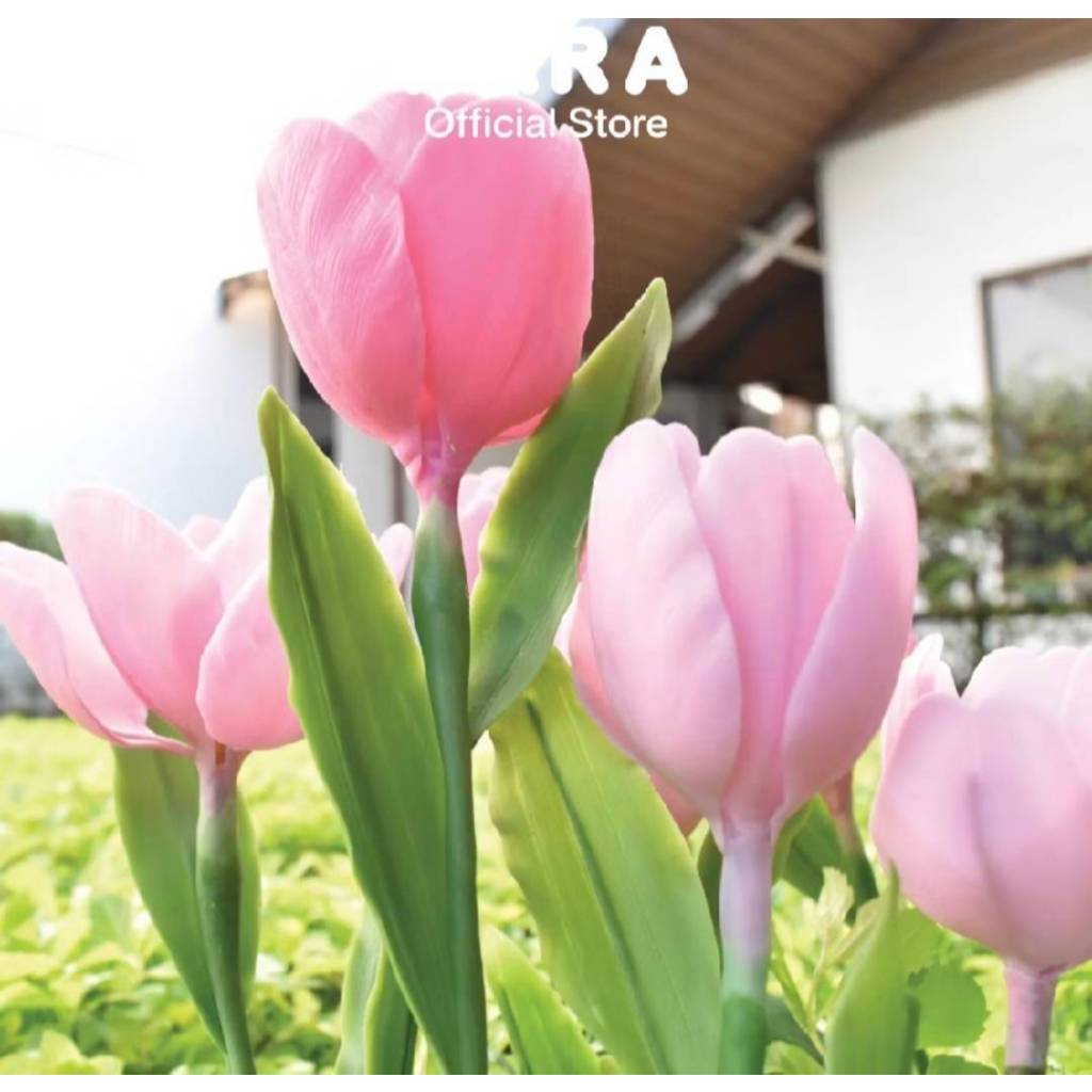 เดอะเบสท์สเตชั่น ดินไทย ดินปั้นดอกไม้ ดินปั้นของจิ๋ว นารา สีขาว 250g NARA Thai Clay ,Flower Clay ราคา ถูกที่สุด ดีลบีเคเค แกลเลอรีภาพที่ 5