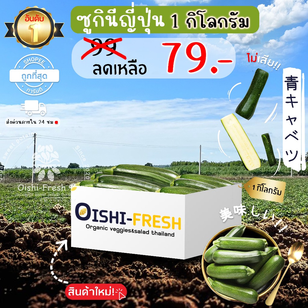 🛒สั่งรวมได้🥒ซูกินี่ญี่ปุ่น  ปลอดสารพิษ 1 กก. รสชาติกรอบ สด ใหม่ ใยอาหารสูง หวานออร์แกนิค เคลมได้ 1-2 วัน