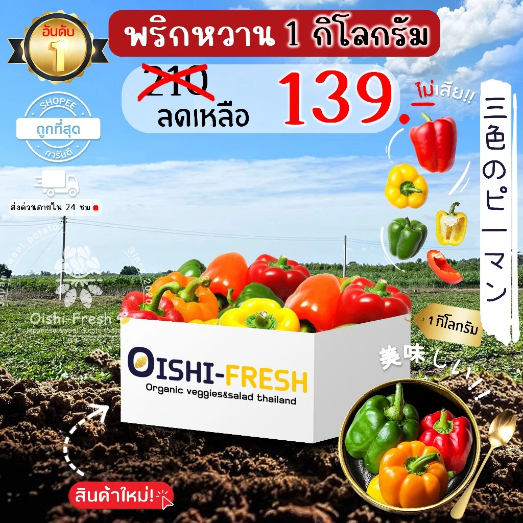 🛒Oishi-Fresh🫑พริกหวาน ปลอดสารพิษ 1 กก. รสชาติกรอบ สด ใหม่ ใยอาหารสูง หวานออร์แกนิค ผัก เคลมได้ 1-2 วัน