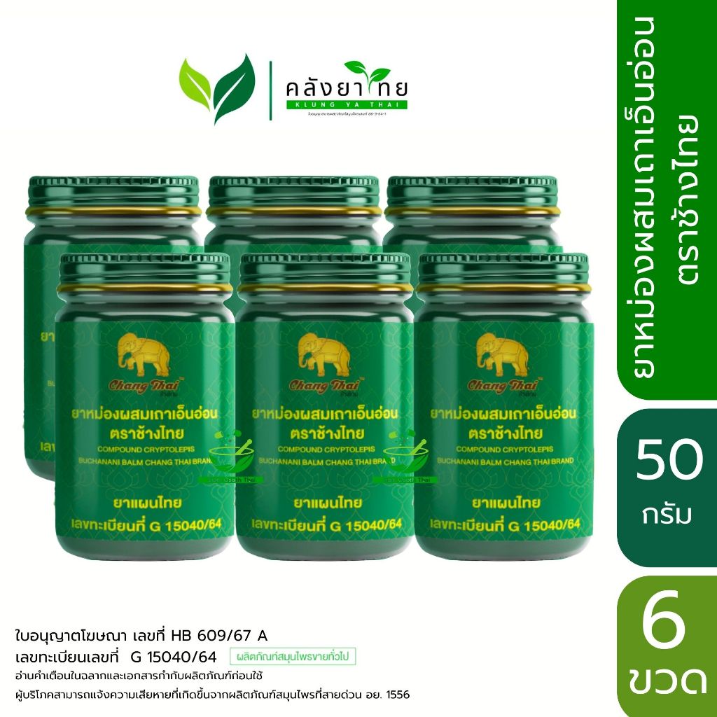 [ยกแพ็ค 6 ขวด]  Changthai ช้างไทย ยาหม่องผสมเถาเอ็นอ่อน ตราช้างไทย ยาหม่องเขียว ขนาด 15/50 กรัม