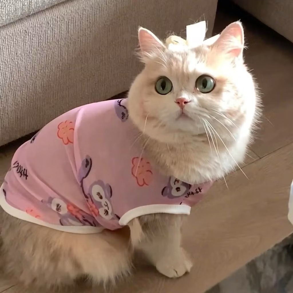 เสื้อผ้าสัตว์เลี้ยง เสื้อกั๊กกันแดด ระบายอากาศ สวมใส่สบาย แฟชั่นฤดูร้อน สําหรับสุนัข แมว ราคา ถูกที่สุด ดีลบีเคเค แกลเลอรีภาพที่ 4