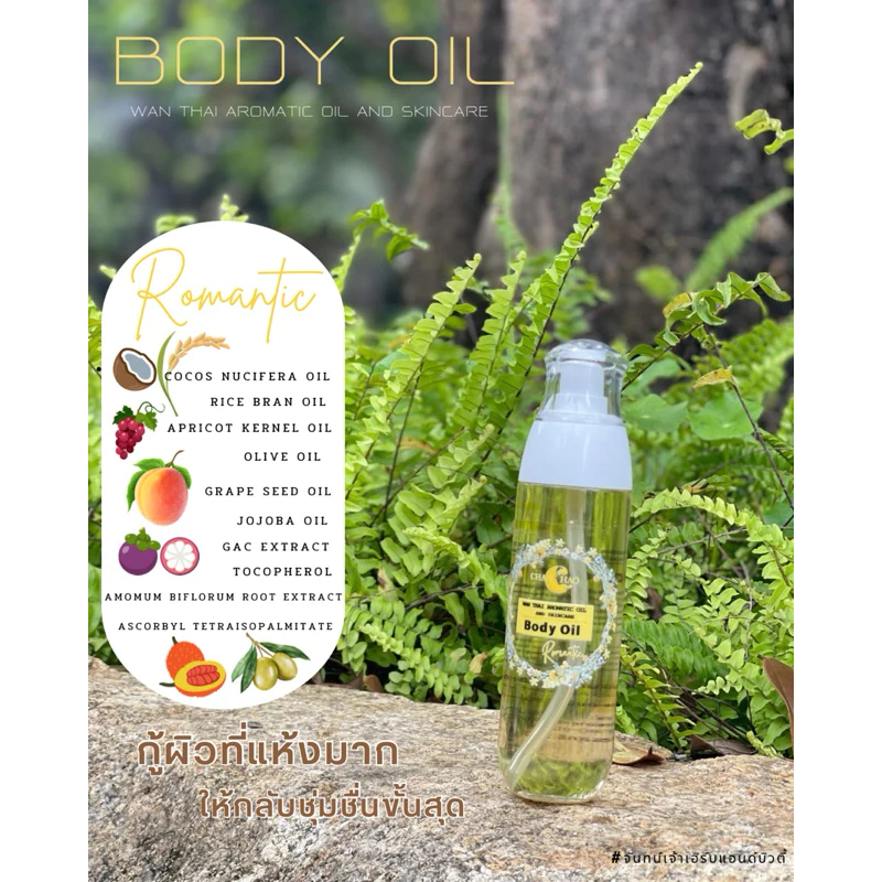 Body oil บอดี้ออยว่านไทยอโรมาติกออยแอนด์สกินแคร์ thumbnail 6