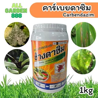 คาร์เบนดาซิม ยาเชื้อรา ป้องกันโรคพืช แอนแทรคโนส ใบจุด ดอกเน่า ใช้ได้กับพืชหลายชนิด สูตรเข้มข้น ปลอดภัยต่อพืช