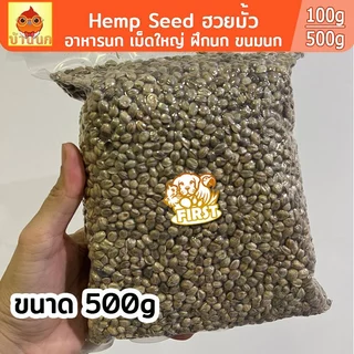 เมล็ดฮวยมั้ว Hemp Seed (เม็ดใหญ่) อาหารนก ฮัวยมั้ว 100g/500g ขนมนก อาหารนก ฝึกนก