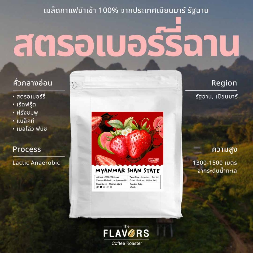 เมล็ดกาแฟ 'สตรอเบอร์รี่ รัฐฉาน เมียนมาร์' คั่วอ่อน 100, 200 กรัม สตรอเบอร์รี่ ชาดำ Anaerobic Process