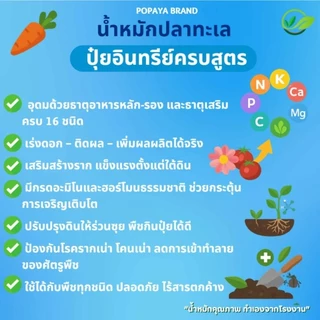 น้ำหมักปลาทะเล ปุ๋ยออร์แกนิก 1ลิตร เข้มข้น