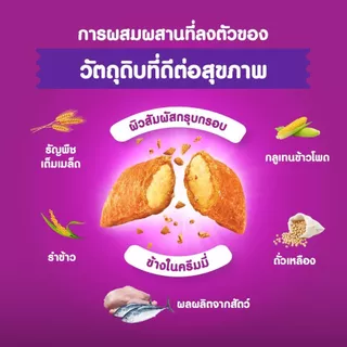 Whiskas วิสกัส อาหารแมวชนิดแห้ง แบบเม็ด ขนาด 2.7- 3กิโลกรัม (เลือกสูตรได้)