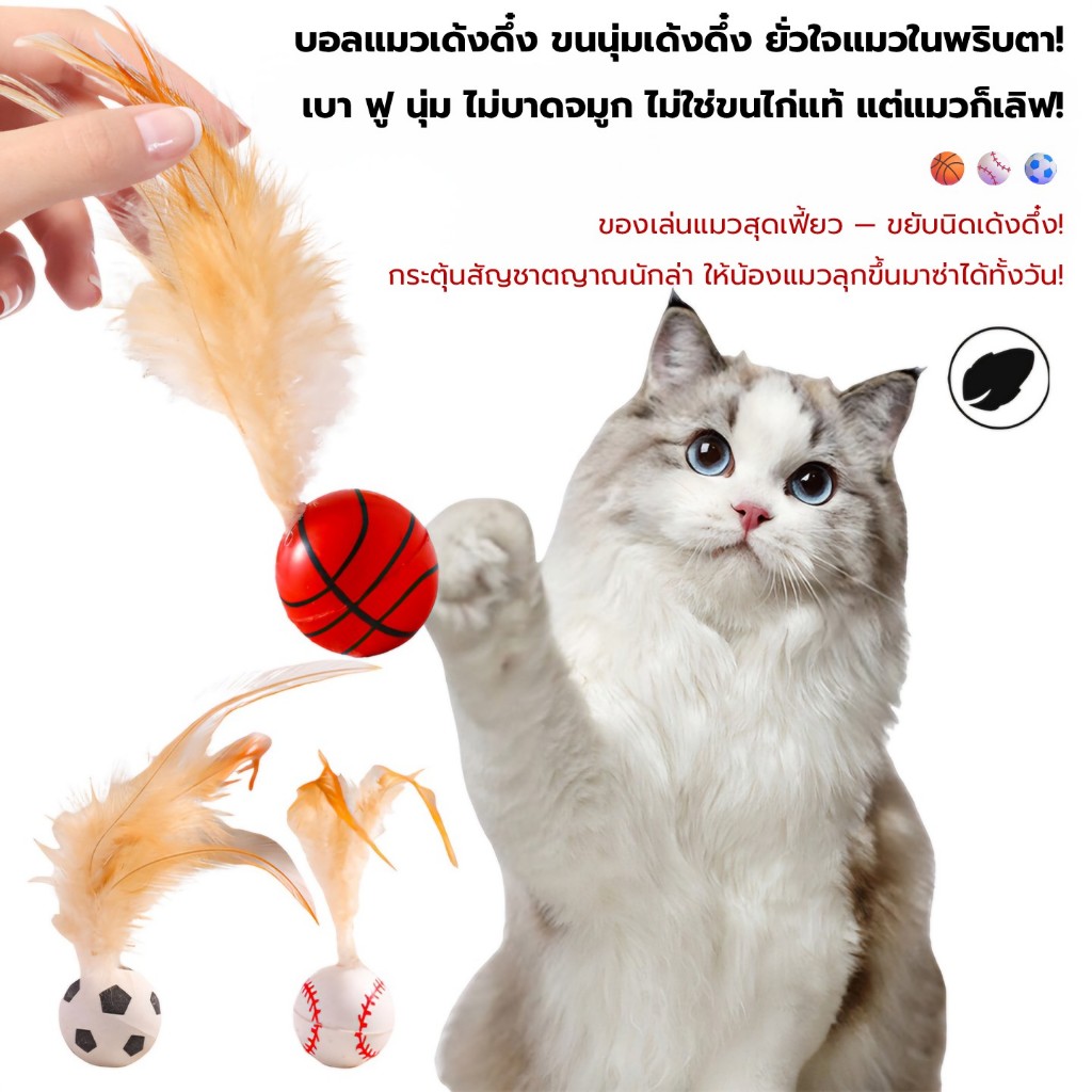 [COD] ลูกบอลแมว เด้งดึ๋ง ของเล่นแมว เด้งดึ๋งทีนึง เหมียววิ่งไม่หยุด! พร้อมส่งจากไทย - รูปที่ 2