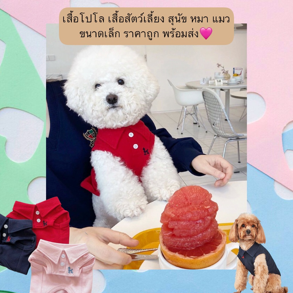 AL-570 เสื้อโปโล เสื้อสัตว์เลี้ยง สุนัข หมา แมว ขนาดเล็ก ราคาถูก พร้อมส่ง