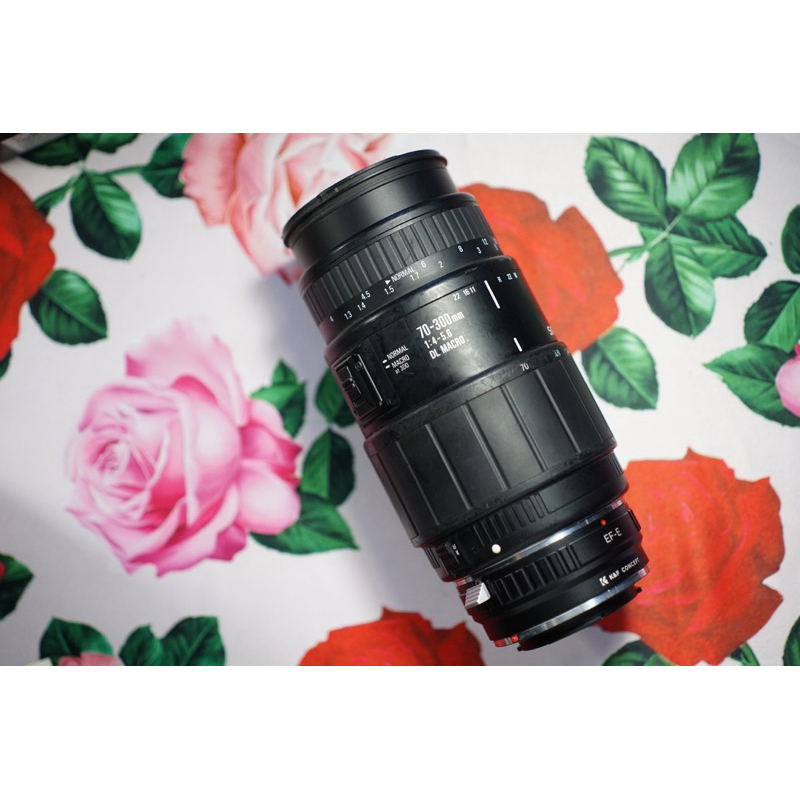 Sigma 70-300mm 4-5.6 DL Macro Mount Canon EF + EF-Sony Nex Adapter