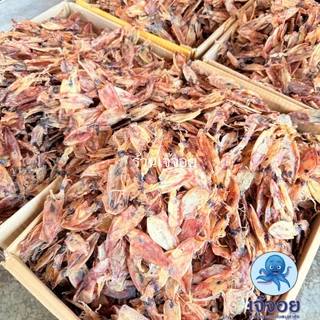 หมึกตัวเล็ก ขนาด 250-500 กรัม สดใหม่จากมหาชัย