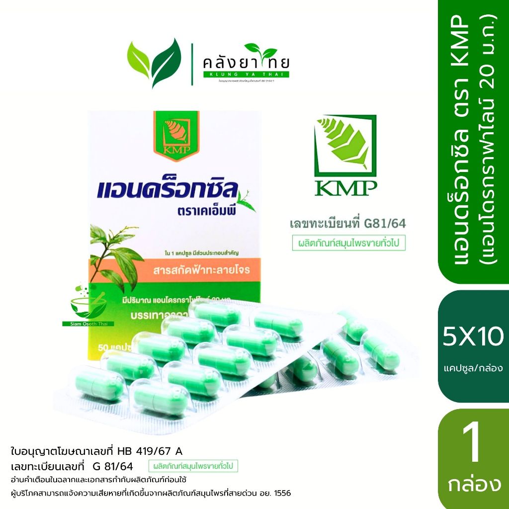 [แพ็คเกจใหม่] แอนดร็อกซิล Androxil แอนดร็อกซิล ตรา KMP ฟ้าทะลายโจรสกัด 20 มก. (1 กล่อง : 50 แคปซูล)