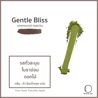 มัทฉะ Yame Gentle Bliss 30g โทนถั่วละมุน [Matcha AHH] มัทฉะแท้ 100% เกรดพิธีชงชา 30g จากยาเมะ ฟุกุโอกะ | Blend Matcha