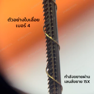 ใบเลื่อยทองตรานก ใบเลื่อยฉลุ 1โหล/12ใบ ใบเลื่อยฉลุทอง เงิน ใบเลื่อยฉลุโลหะ Jewellers sawblades