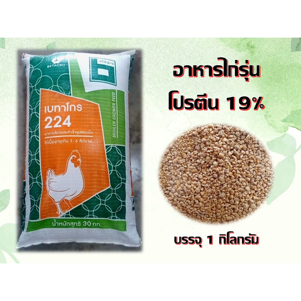 อาหารไก่รุ่น ไก่กลาง โปรตีน 19% บรรจุ 1 กิโลกรัม ในถุงซิปล็อค