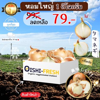 🛒Oishi-Fresh🧅หอมใหญ่ ปลอดสารพิษ 1 กก. รสชาติกรอบ สด ใหม่ ใยอ…