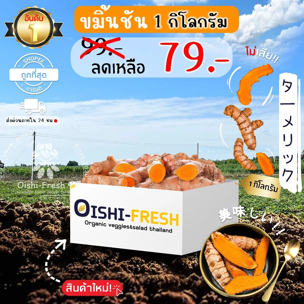 🛒Oishi-Fresh🫚ขมิ้นชัน ปลอดสารพิษ 1 กก. รสชาติกรอบ สด ใหม่ ใยอาหารสูง หวานออร์แกนิค ผัก เคลมได้ 1-2 วัน