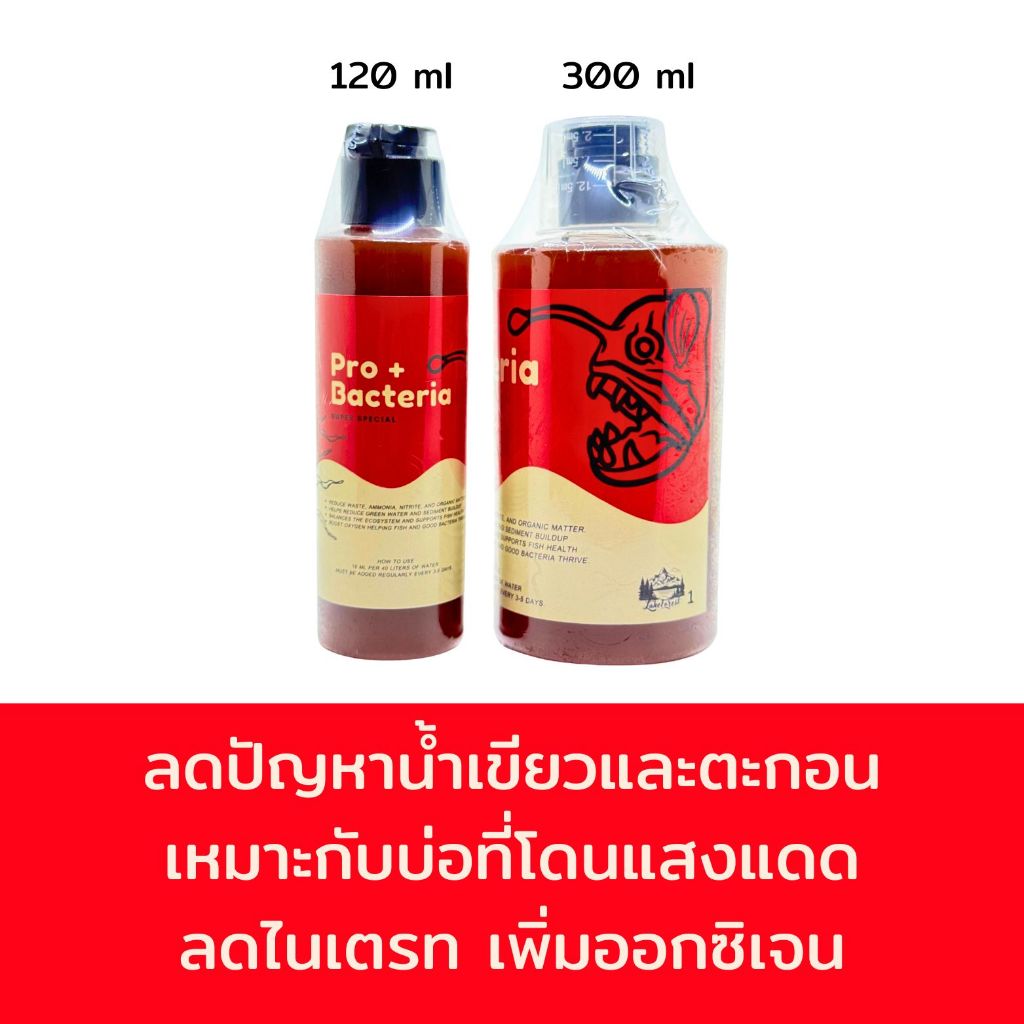 Pro+ Bacteria ช่วยบำบัดน้ำ ลดน้ำเขียวและตะกอน ส่งเสริมสุขภาพปลาและสัตว์น้ำ ราคา ถูกที่สุด ดีลบีเคเค แกลเลอรีภาพที่ 2