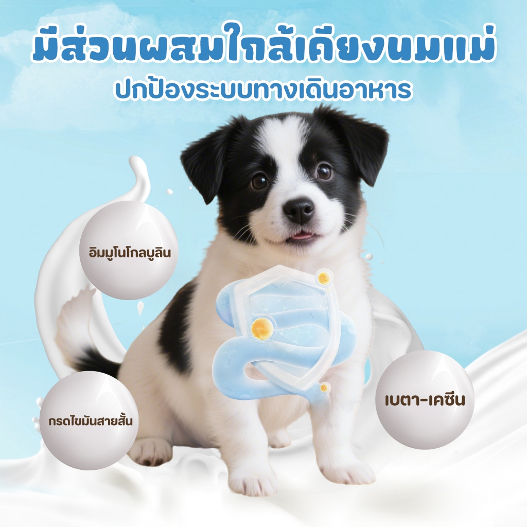 【CAT&DOG】Goat Milk with Colostrum พรามี่ นมแพะสเตอริไลส์ เสริมนมน้ำเหลือง 400G - รูปที่ 6