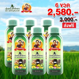 ยกลัง 6-12ขวด แพนต้าโกรว์ พ่อใหญ่สัมฤทธิ์ คุณสัมฤทธิ์ สูตรเข…