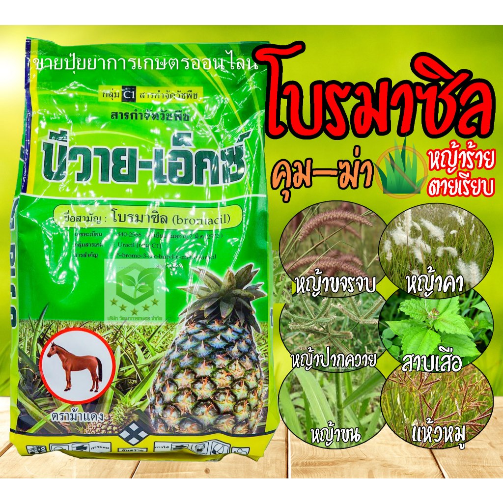 บีวาย เอ็กซ์ สาร โบรมาซิล 80% wp 1 กิโลกรัม สารกำจัดวัชพืชในไร่สับปะรด ได้ทั่งใบแคบและใบกว้าง เอราซิล โปรมาซิล
