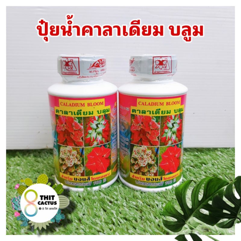 // ปุ๋ยบอนสี // คาลาเดียม บลูม โปร // 250 ml.// ไคโตซาน สาหร่ายทะเล อินทรีย์