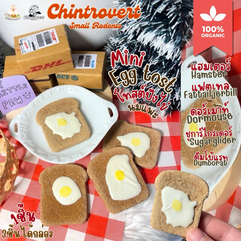 Chintrovert ✨| Egg Toast goat milk โทสต์ปังไข่นมแพะ 1 ชิ้น | แฮมเตอร์ แฟตเทล ดอร์เมาท์ ชูการ์ไกร์เดอร์