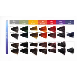 สีเชสวี่ C'estvie สีย้อมผม เคราตินญี่ปุ่น สีแฟชั่น ปิดผมขาว 90 มล.