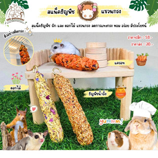 ขนมชูก้าร์ไกรเดอร์ กระรอก หนูแฮมสเตอร์ กระต่าย แกสบี้ สแน็คธ…