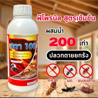 สตา100 ฟิโพรนิล5% น้ำยากำจัดปลวก สูตรน้ำไม่มีกลิ่น สูตรน้ำติดเชื้อตายยกรังใช้ในบ้าน