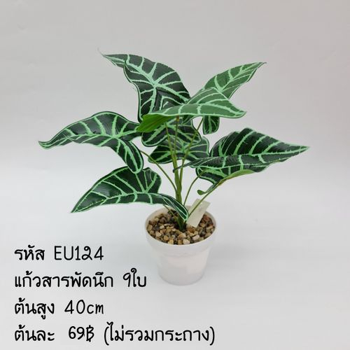 EU124 ส่งจากไทย แก้วสารพัดนึก 9ใบ สูง 40cm.(ไม่รวมกระถาง)