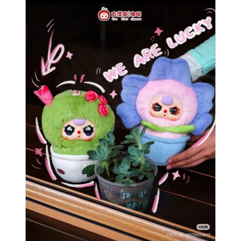 พร้อมส่ง-แบบจุ่ม !ใช่โค้ด 30 ได้! New Baby Three Small Flower กระถางดอกไม้ สวยน่ารัก