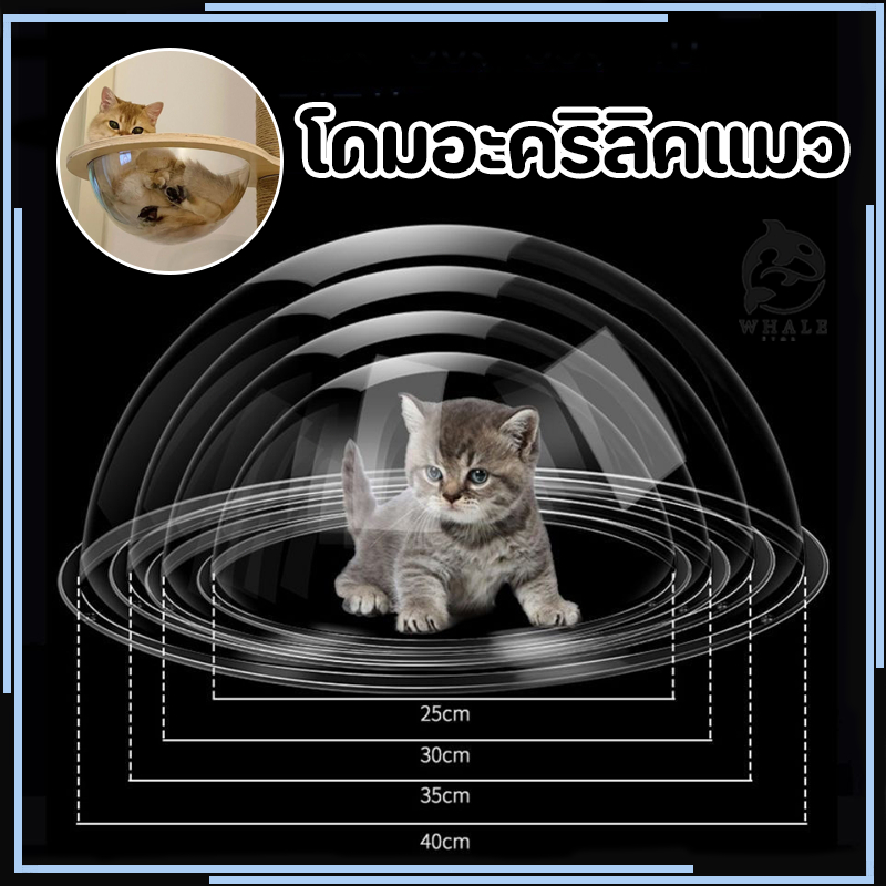 😻โดมอะคริลิคแมว หลุมอวกาศแมว โดมอะคลิลิค หลุมอะคริลิค สำหรับบ้านแมว DIY 30/35/40cm