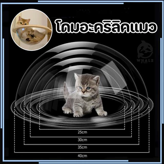 😻โดมอะคริลิคแมว หลุมอวกาศแมว โดมอะคลิลิค หลุมอะคริลิค สำหรับบ้านแมว DIY 30/35/40cm