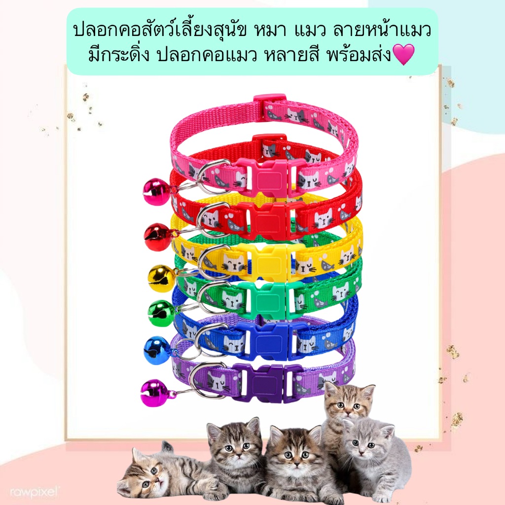 AL-567 ปลอกคอสัตว์เลี้ยงสุนัข หมา แมว ลายหน้าแมว มีกระดิ่ง ปลอกคอแมว หลายสี พร้อมส่ง