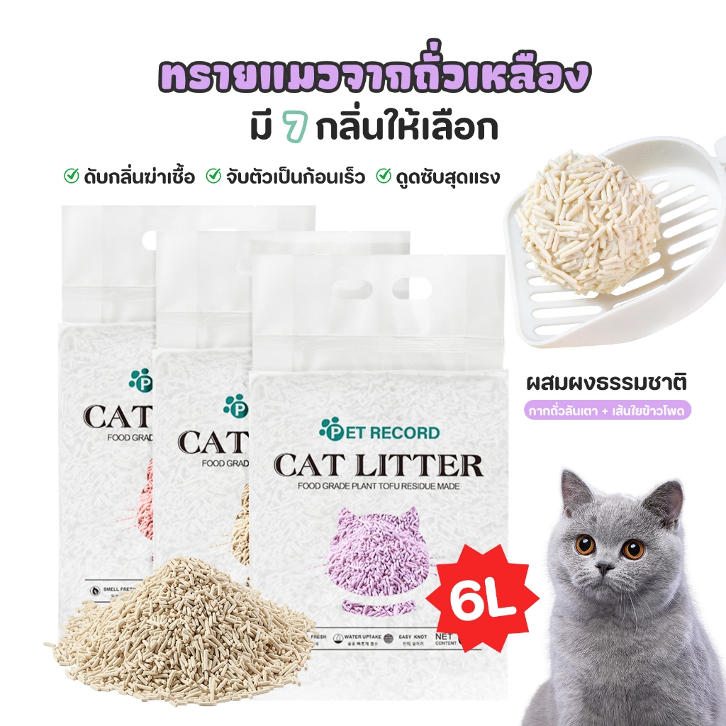 รูปภาพ 8