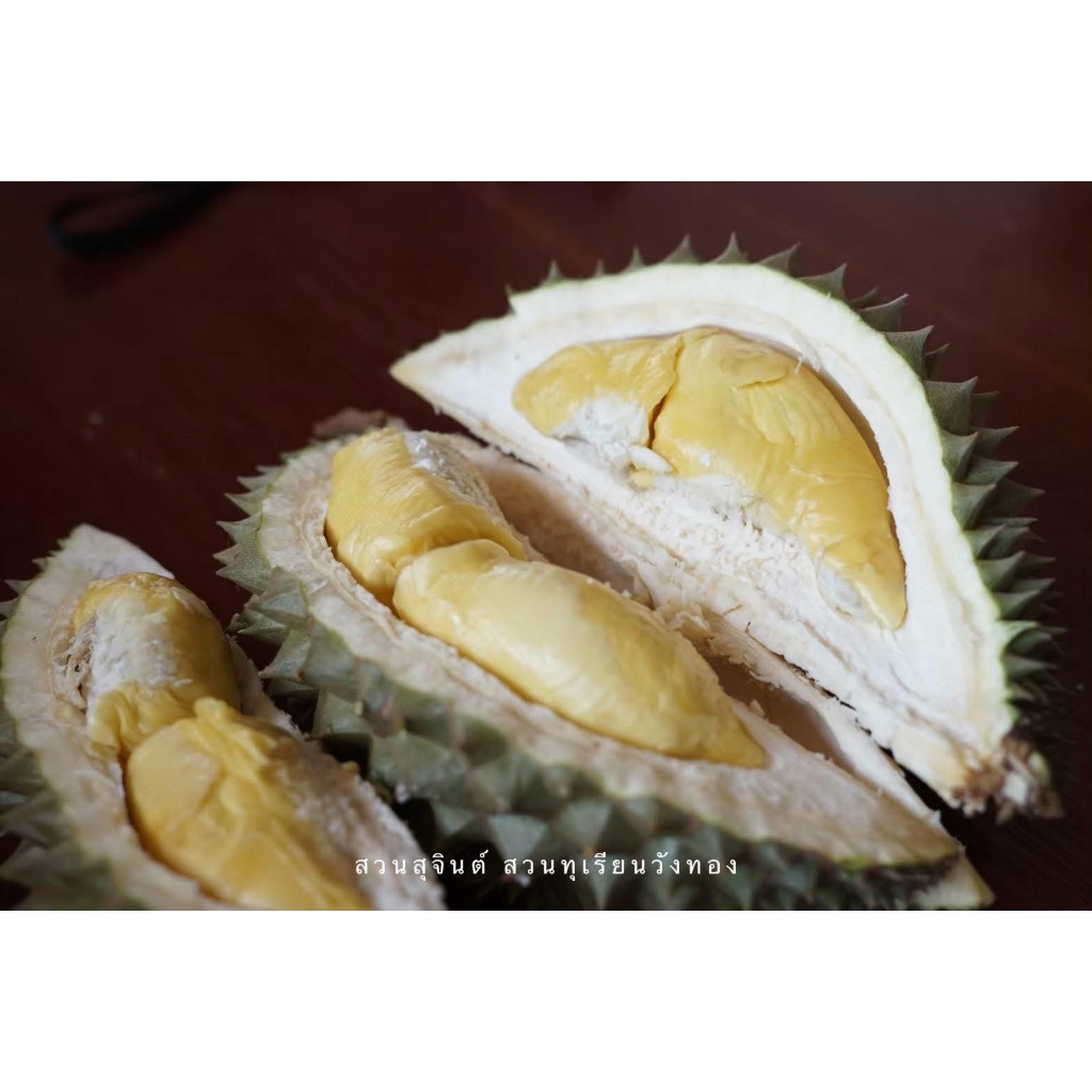 มุมมอง 2