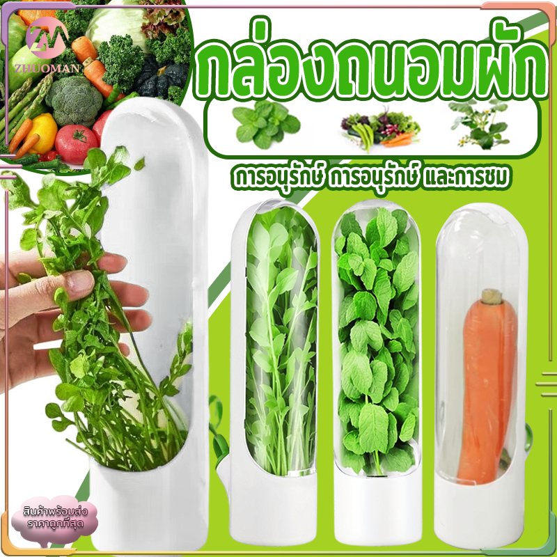 กล่องถนอมอาหาร ที่เก็บผัก ถ้วยสมุนไพรสด กล่องถนอมผัก ไม่ทำให้ผักช้ำ มีช่องฉีดน้ำสำหรับเติมน้ำ คงความสดใหม่ของอาหาร