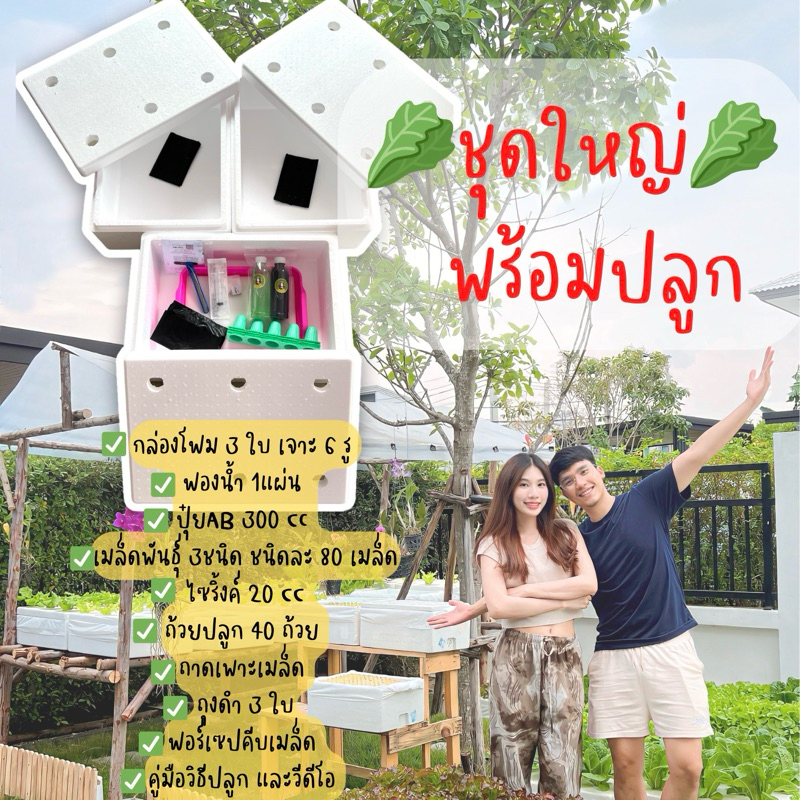 ชุดทดลองปลูกผักสลัด(ชุดใหญ่โฟม 3 ใบ) ผักไฮโดรโปนิกส์ Hydroponic สุดคุ้มพร้อมปลูกสำหรับมือใหม่!