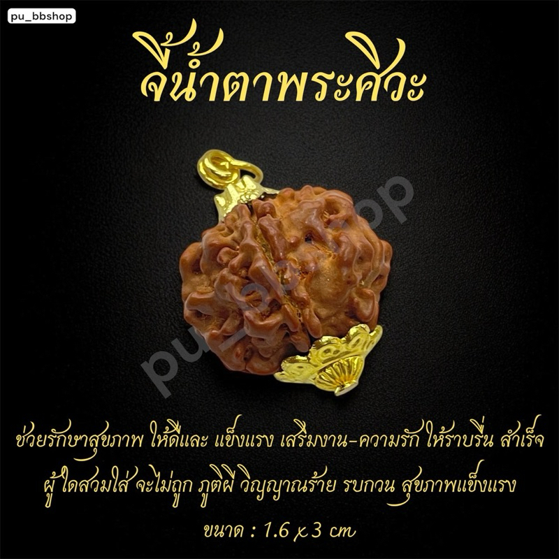 จี้น้ำตาพระศิวะ ขนาด 1.6*3 cm.