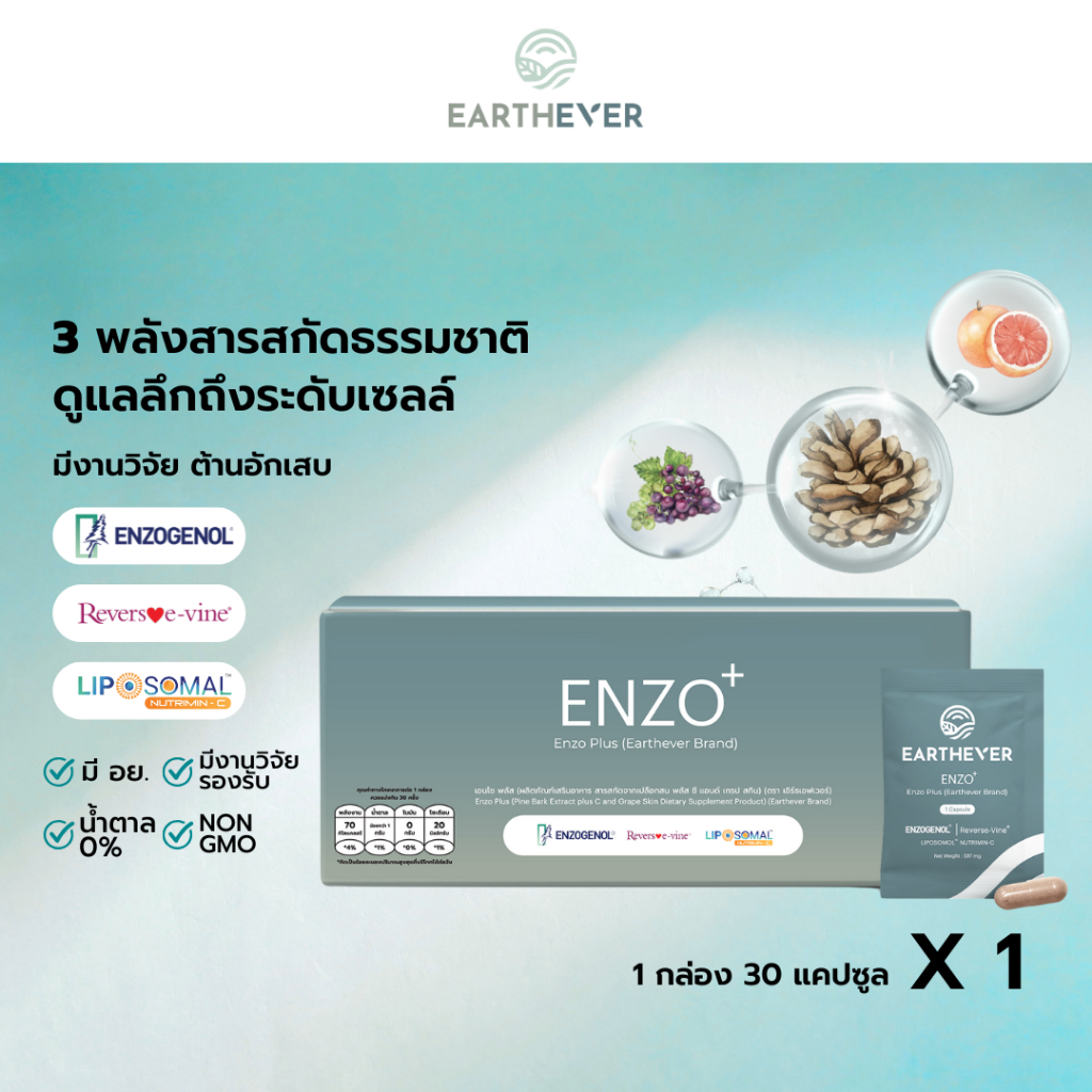 [1 กล่อง x 30] EARTHEVER ENZO Plus เอิร์ธเอฟเวอร์ เอนโซ พลัส 1 กล่อง 30 แคปซูล