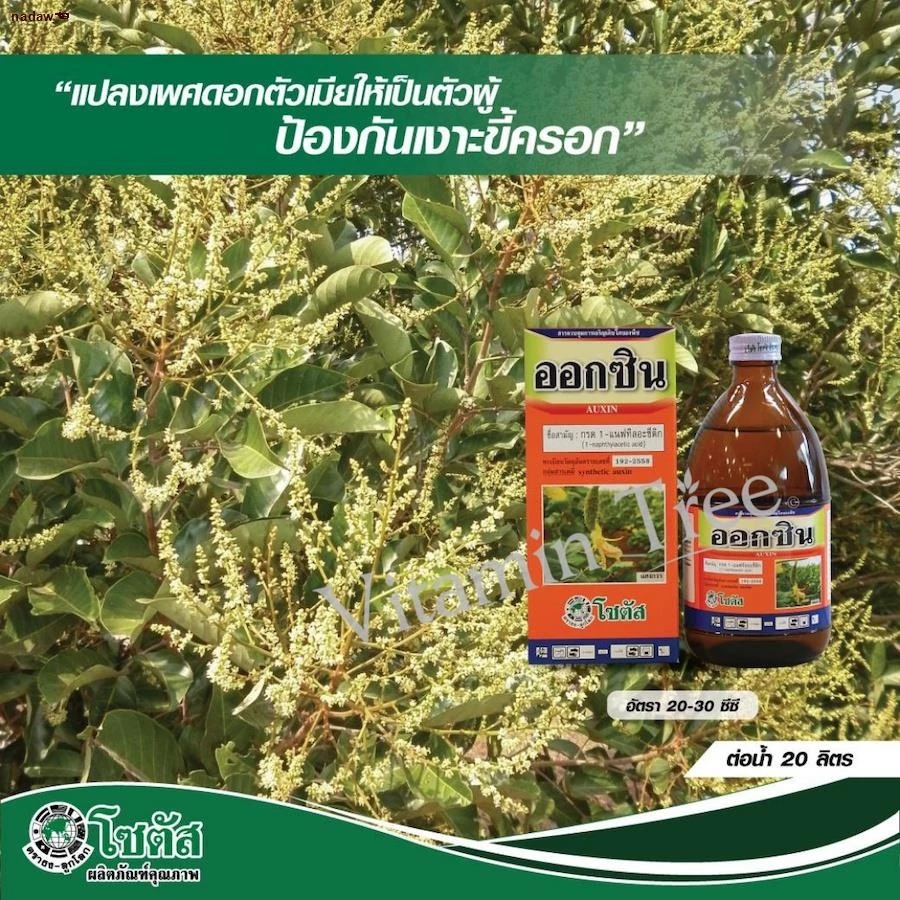 ออกซิน สารเอ็น เอ เอ ขนาด 500ซีซี เปลี่ยนเพศดอกเงาะ เร่งการเกิดรากของกิ่งชำ