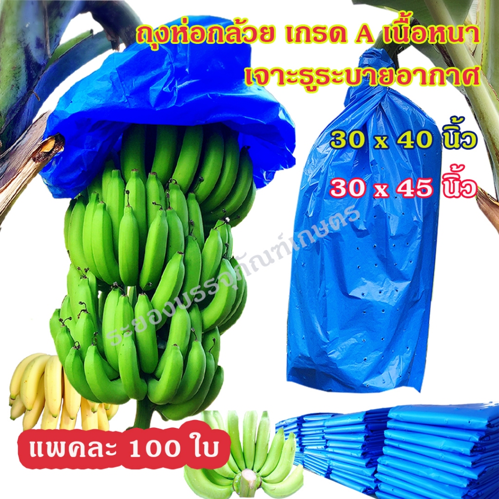 แพคละ 100 ใบ ถุงห่อกล้วย ขนาด 30x40 นิ้ว และ 30x45 นิ้ว เกรด A เนื้อหนา ใช้ซ้ำได้ ถุงห่อกล้วยหอม